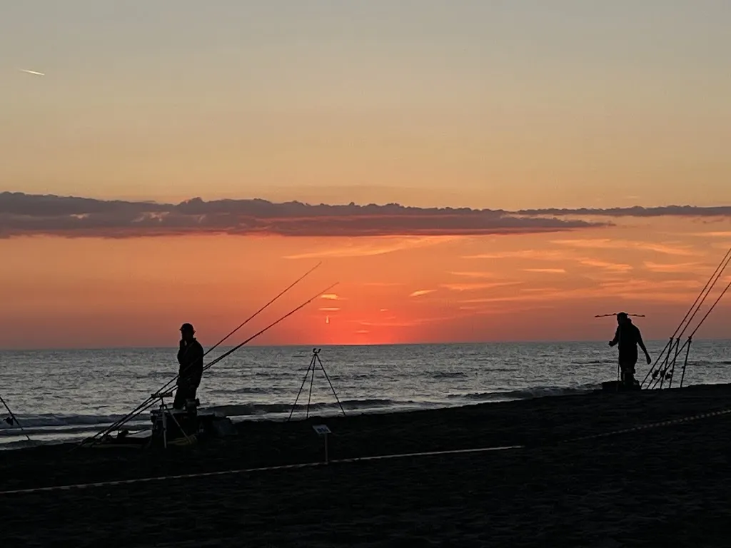 Roman Herrera_Toni Fregene_Fregene_review