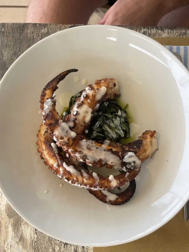 Laura Saulenco Căprărin_The Sailing Club • Fregene_Fregene_review