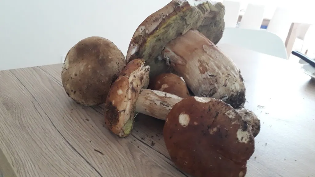 Menu_Home restaurant la Botte_La Botte_image_5