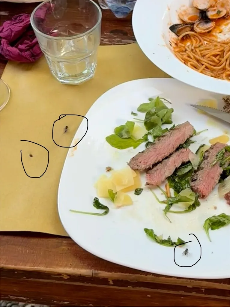 T. M_Ristorante Pizzeria La Botte Del Chianti_La Botte_review