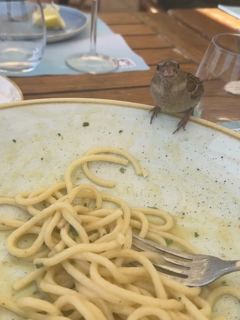 Equo Risto Ladispoli_Ladispoli_slider_image_2