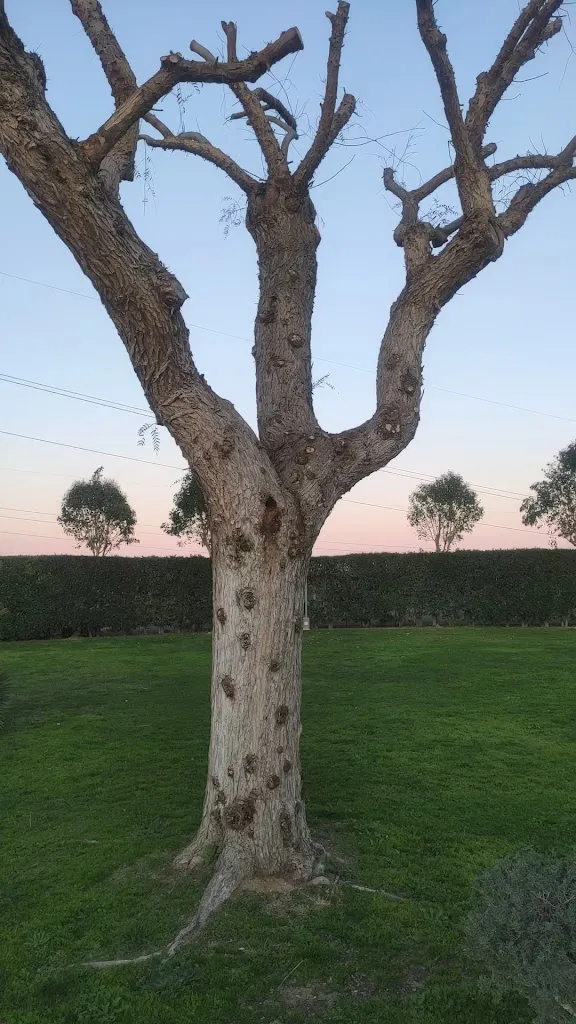 Casale La Rosa Rossa_La Massimina-Casal Lumbroso_slider_image_2