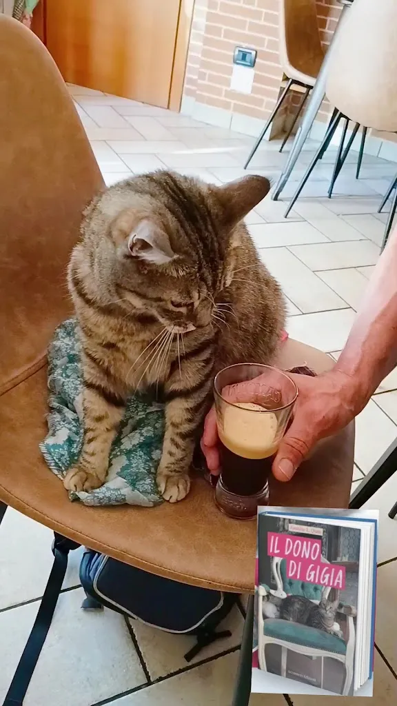 Gigia TravelCat_Bistrot Gli Amici_Villa Santa Lucia degli Abruzzi_review