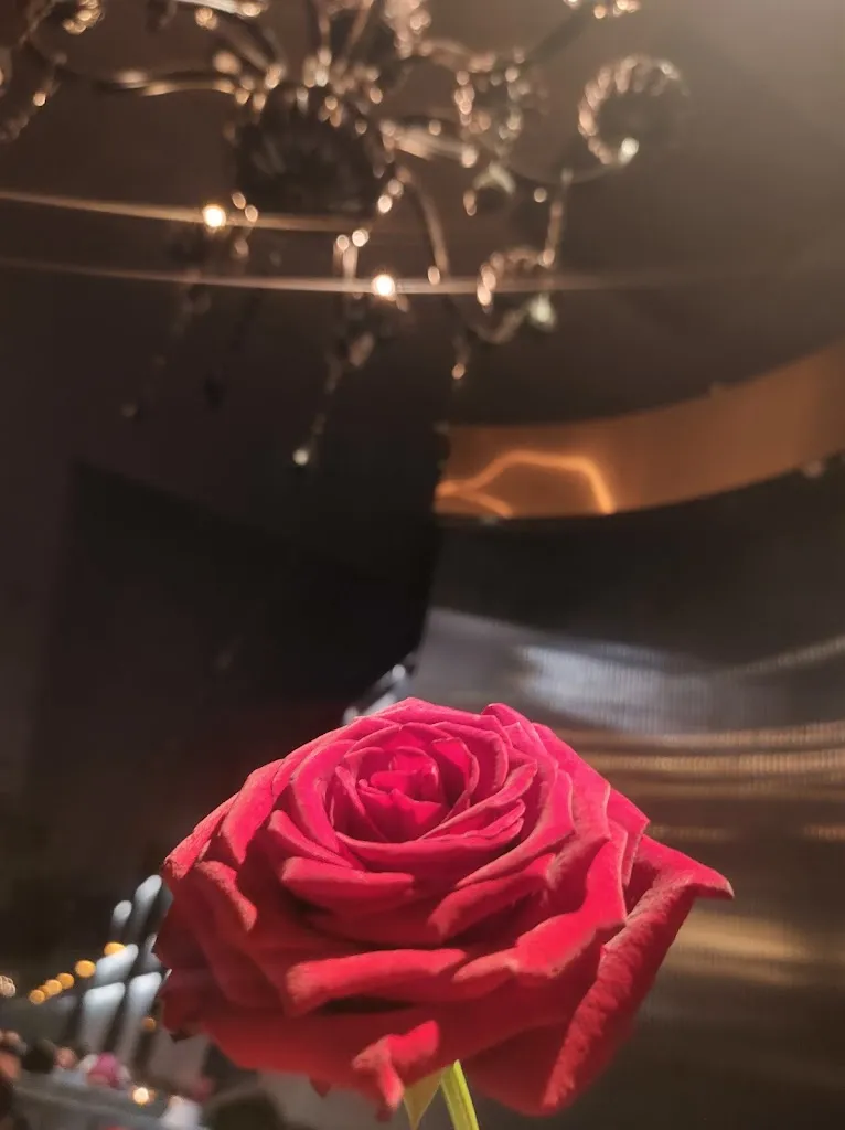 Lory Lara_Ristorante Dozo Sushi Latina_Latina Scalo_review