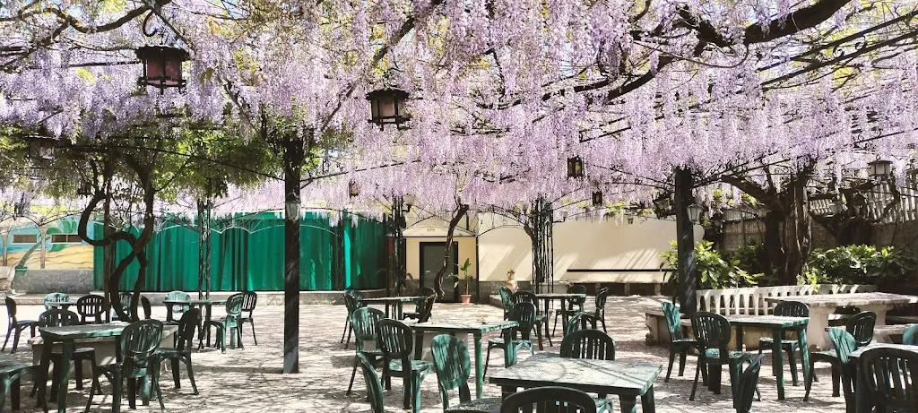 Ristorante Il Ritrovo restaurant in Latina Scalo