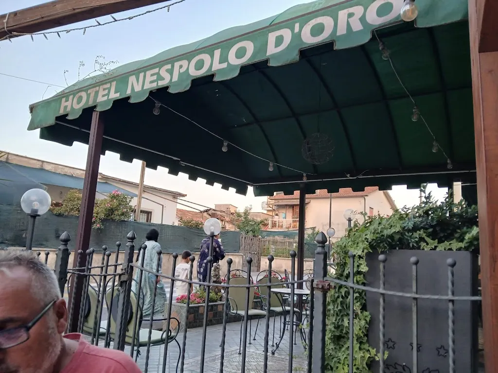 Debora Beato_Ristorante Nespolo D'Oro_Lariano_review