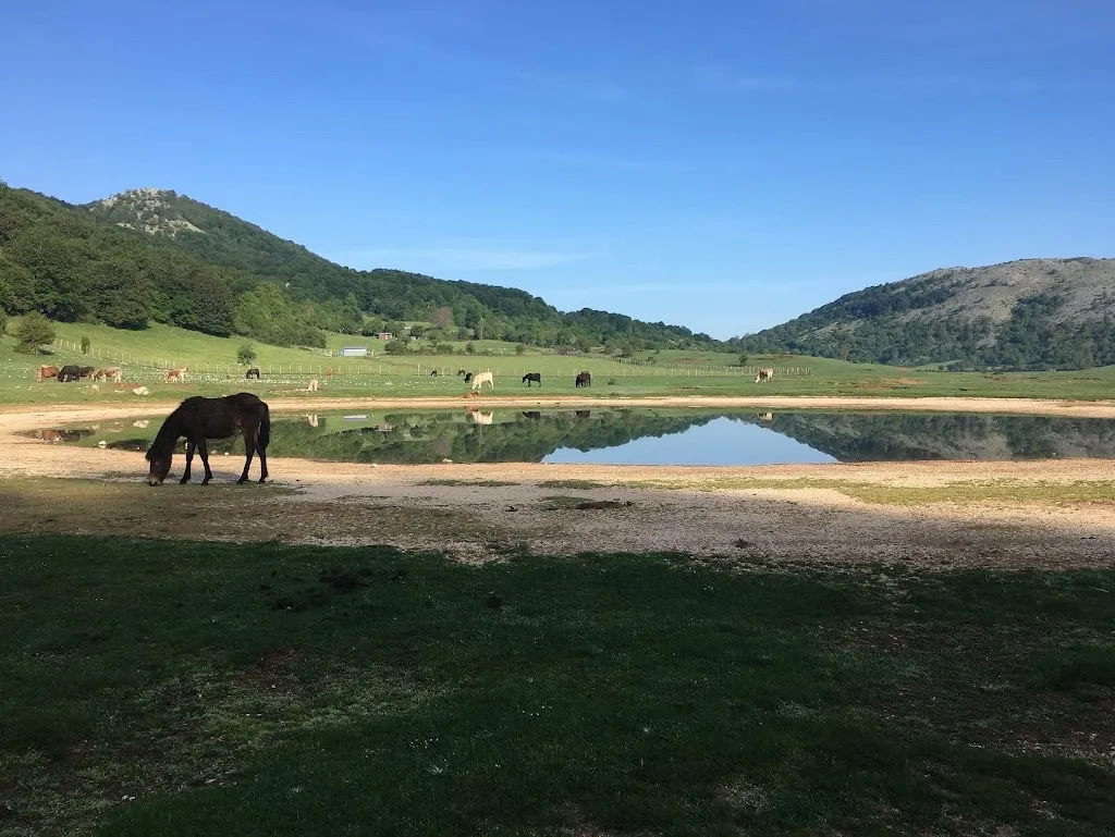 Sfarinando Srl restaurant in Lariano