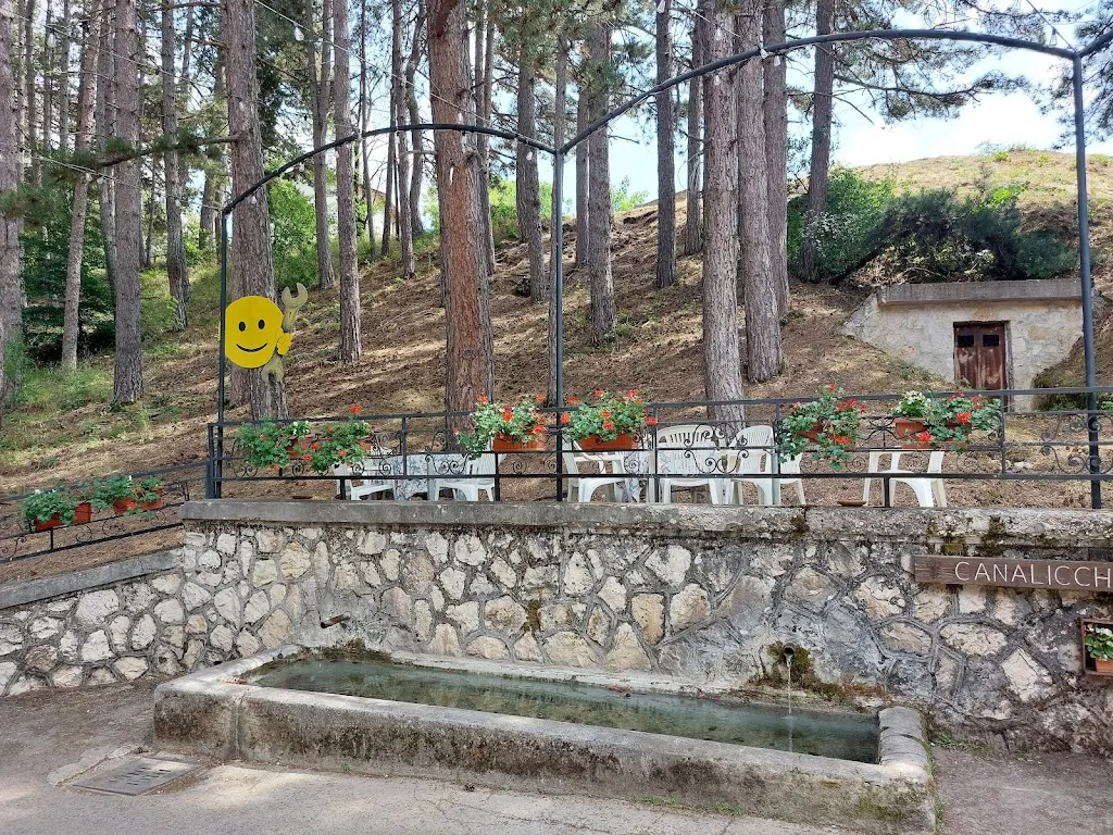 Eli Boschi_Ristorante Bar la Pineta_Villavallelonga_review