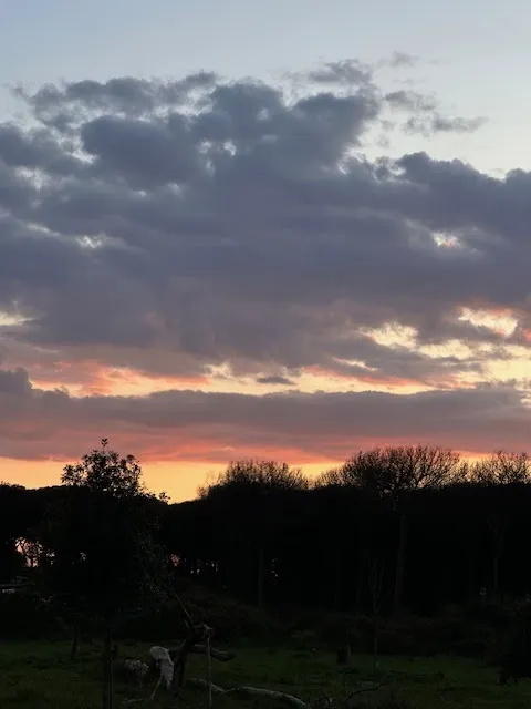 Agrumi Fish Bistrot_Lido dei Pini_slider_image_3