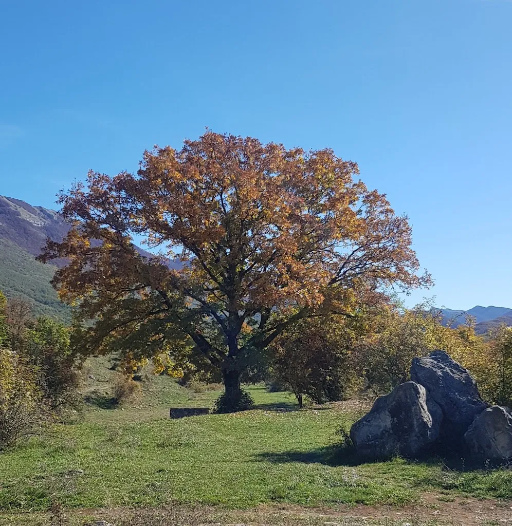 Benedetta Romano_Villavallelonga_Villavallelonga_review