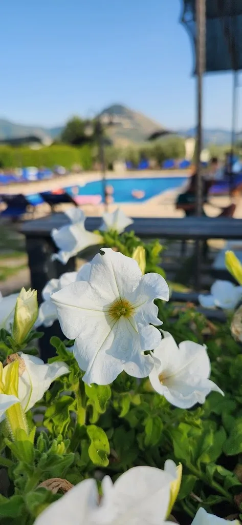 Isabella La Gamba_Agriturismo La Fattoria di Carlotta, ristorante e camere_Maenza_review