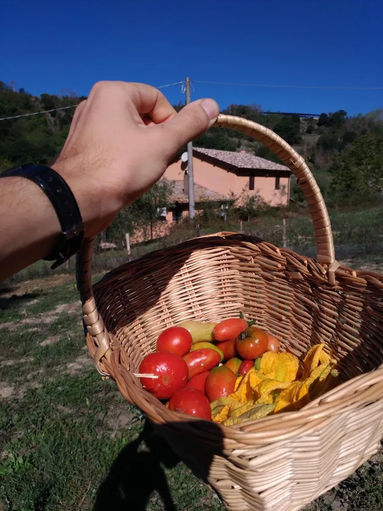 Menu_CentOlivi_Magliano Sabina_immagine_4