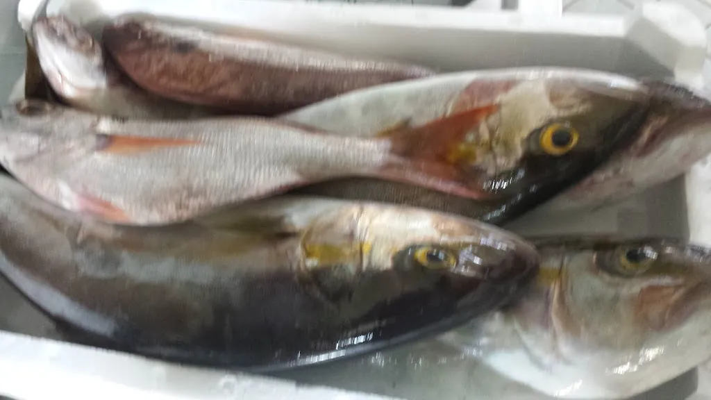 Menu_Ristorante EEA_Le Forna_image_9