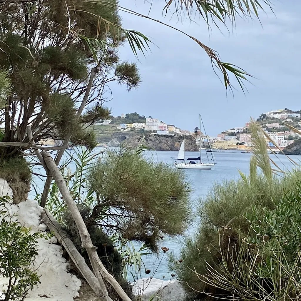 Thefabritz_Da Enzo al Frontone _Le Forna_review