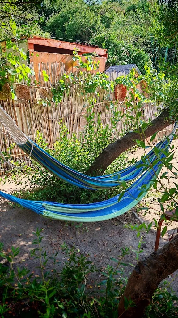 TROZZULA A_Pontino_Le Forna_review