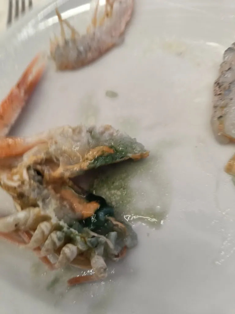 luca saluzzi_L'aragosta_Marina di Ardea-Tor San Lorenzo_review