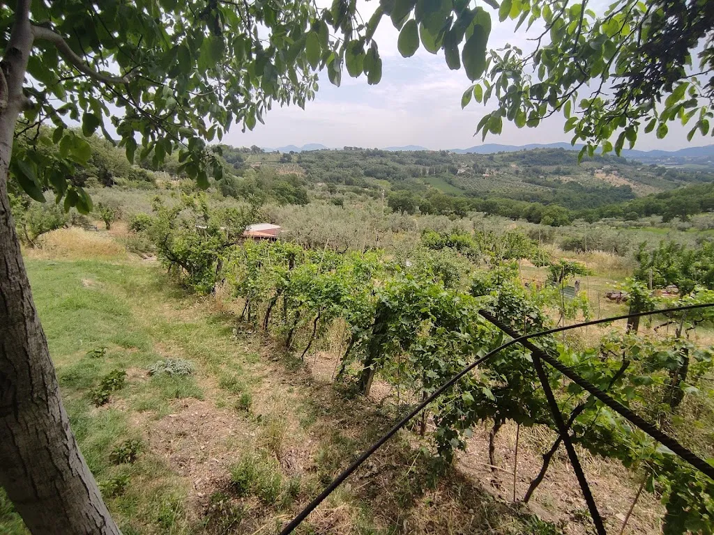 Azienda agrituristica Voltafonte_Mompeo_slider_image_3