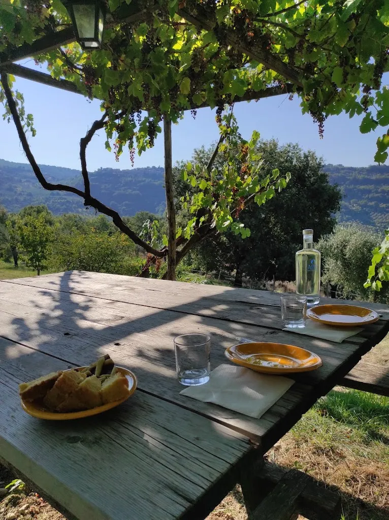 Margherita Ripamonti_Colle Paradiso agriturismo_Mompeo_review