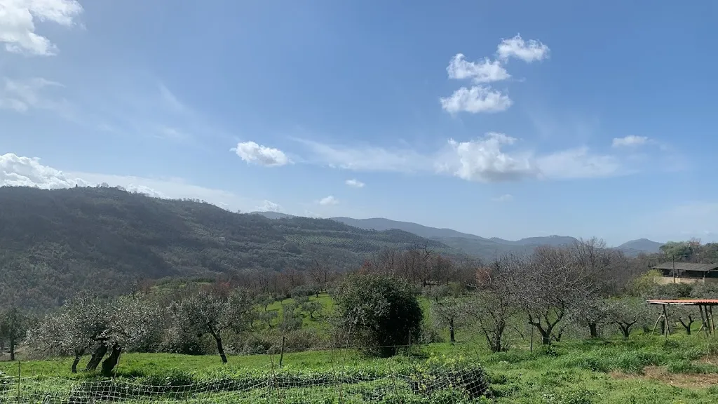 Federica Antonelli_Colle Paradiso agriturismo_Mompeo_review