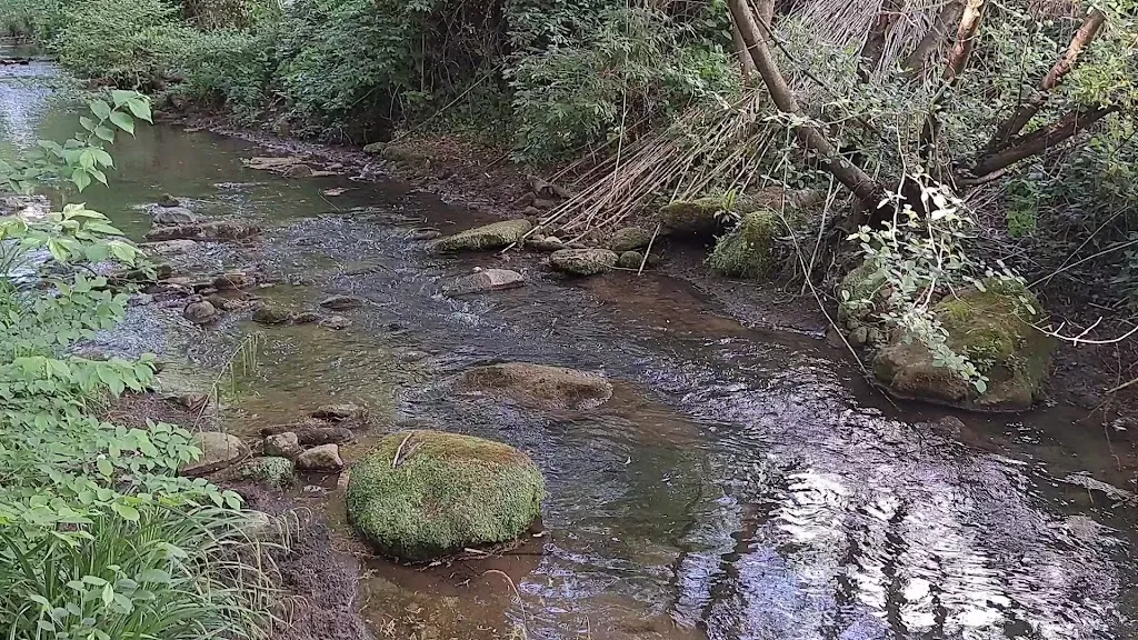 Agriturismo Montecaminetto restaurant in Monte Caminetto