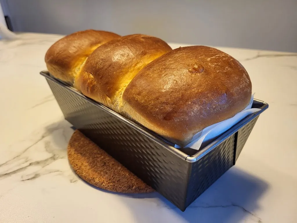 Home restaurant Costa della Mola_Monte Caminetto_slider_image_2