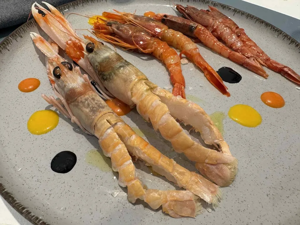 Constantine Ele_Molo Venti4_Montalto di Castro_review