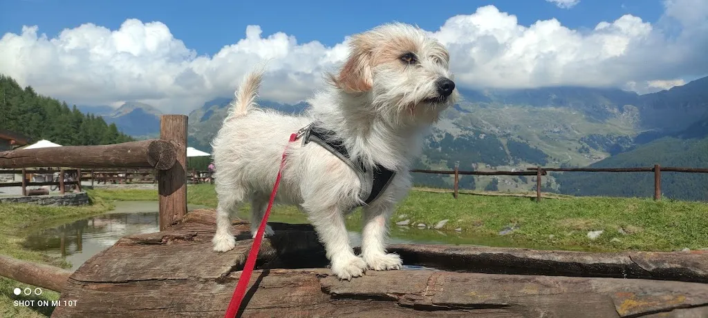 Manuela Scarcella_La Maison du Braconnier_Antagnod_review