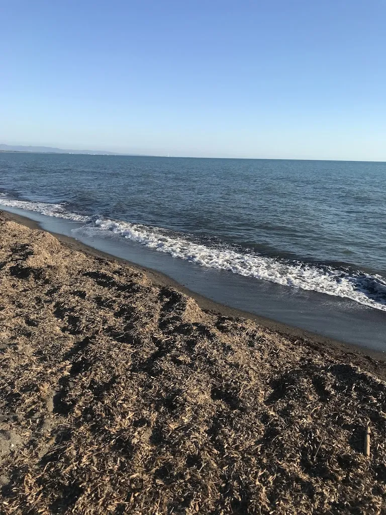 Al CHIOSCO_Montalto di Castro_slider_image_2