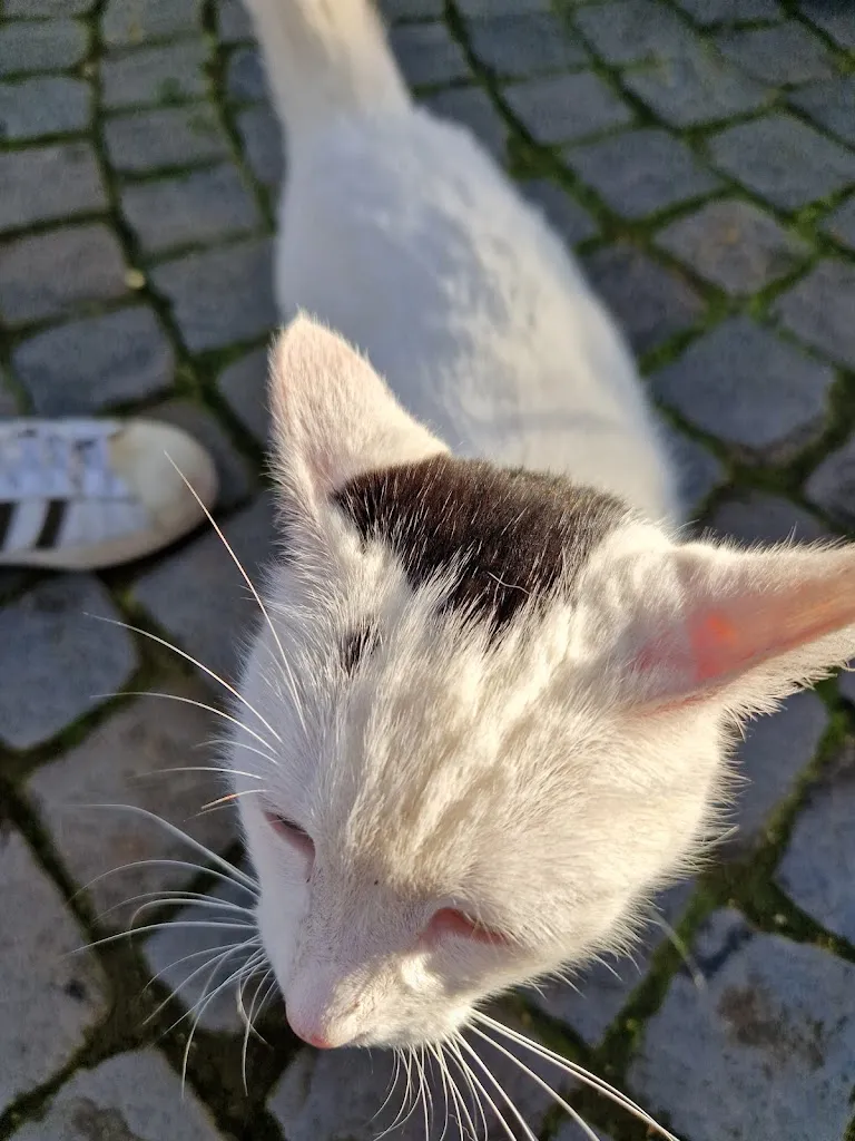Alberto YP_La Camera da Pranzo_Monte Porzio Catone_recensione
