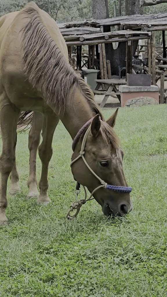 Silvia Ciampolillo_La Locanda nel Parco_Monte Porzio Catone_review