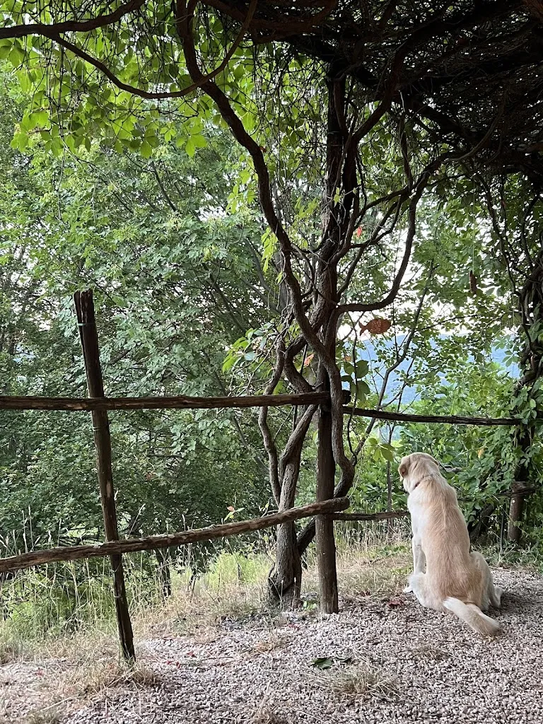 Kathy Stock_Agriturismo Il Fienile di Orazio_Monte San Giovanni in Sabina_review