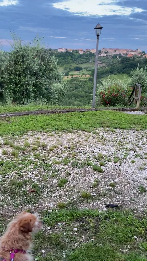 Il Merangolo Agriturismo_Montebuono_slider_image_2