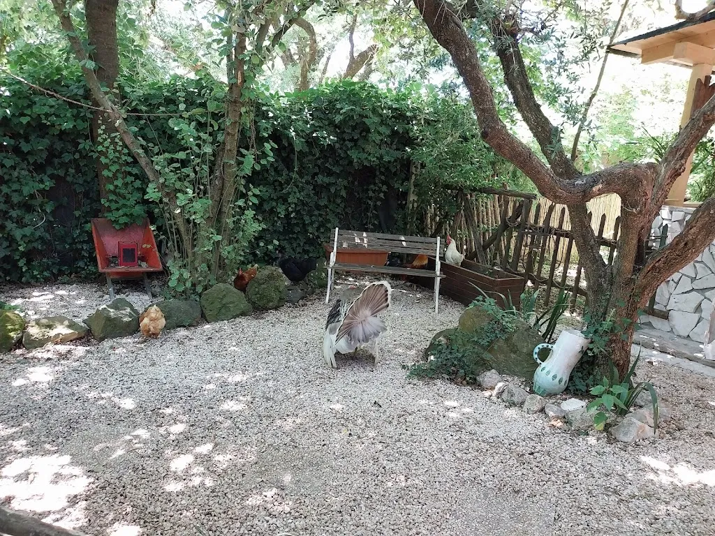 Gianluca Alcaro_Antica Locanda Skansen_Montecompatri_review