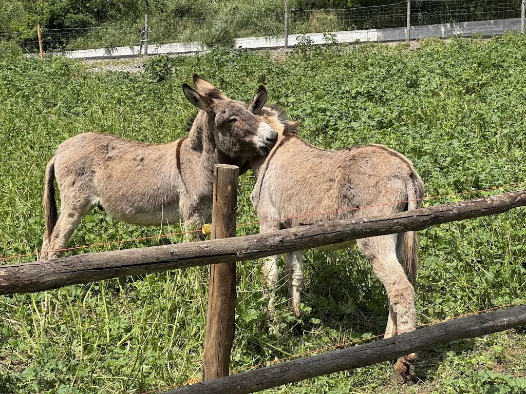 Angelo Angileri_Agriturismo 