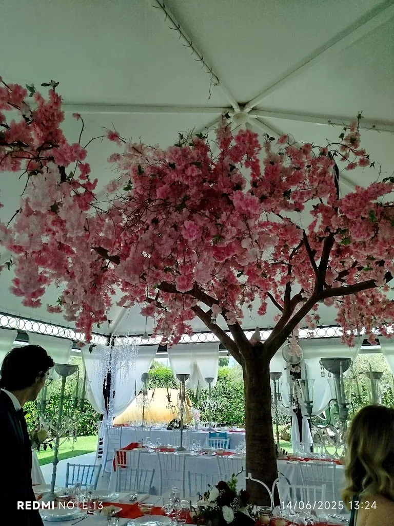 Beatrice Conti_home restaurant A Casa di Alice_Montelibretti_review