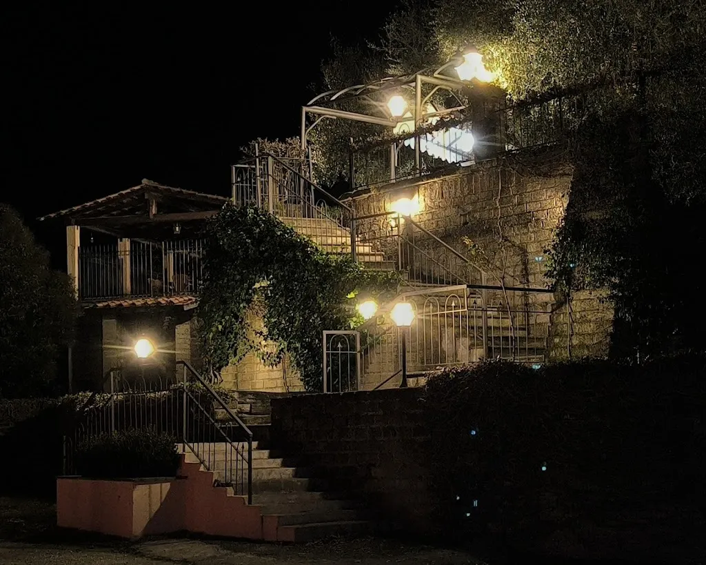 Franco Volponi_Ristorante Poggio degli Ulivi_Montopoli in Sabina_recensione