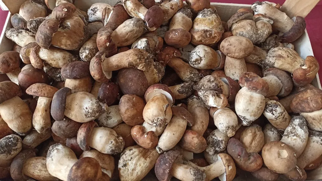 Menu_A Corte Ristorante Pizzeria Di Pino Giannetti_Montorio Romano_image_9