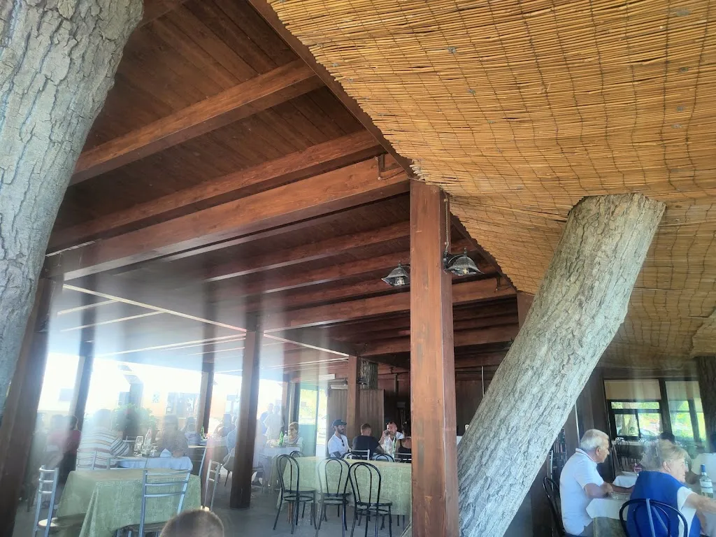 Danijel Bizaj_Ristorante Trattoria Da Morano_Montefiascone_review