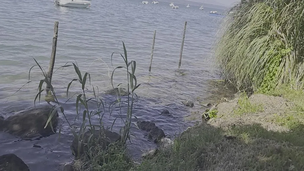 Ristorante pizzeria da Corrado_Montefiascone_slider_image_2