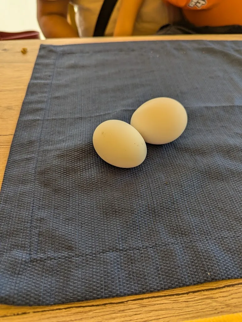 Menu_FarFood_Nazzano_image_2