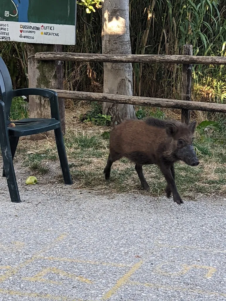 Sophie Ashton_Ecoturismo Tevere Farfa_Nazzano_review