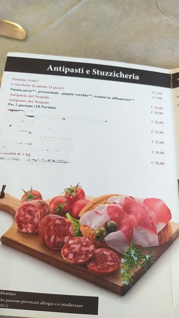 Menu_Il Nespolo_Nespolo_immagine_3