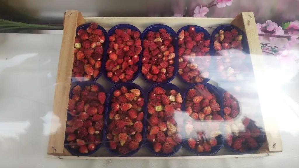 Menu_Norcineria Rosselli panineria_Nemi_image_2