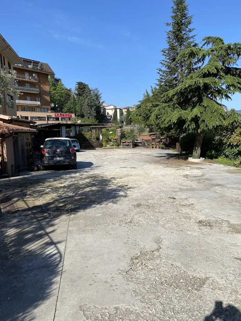 Silvia Dionisi_Il Boschetto - Cucina e Vini_Olevano Romano_review