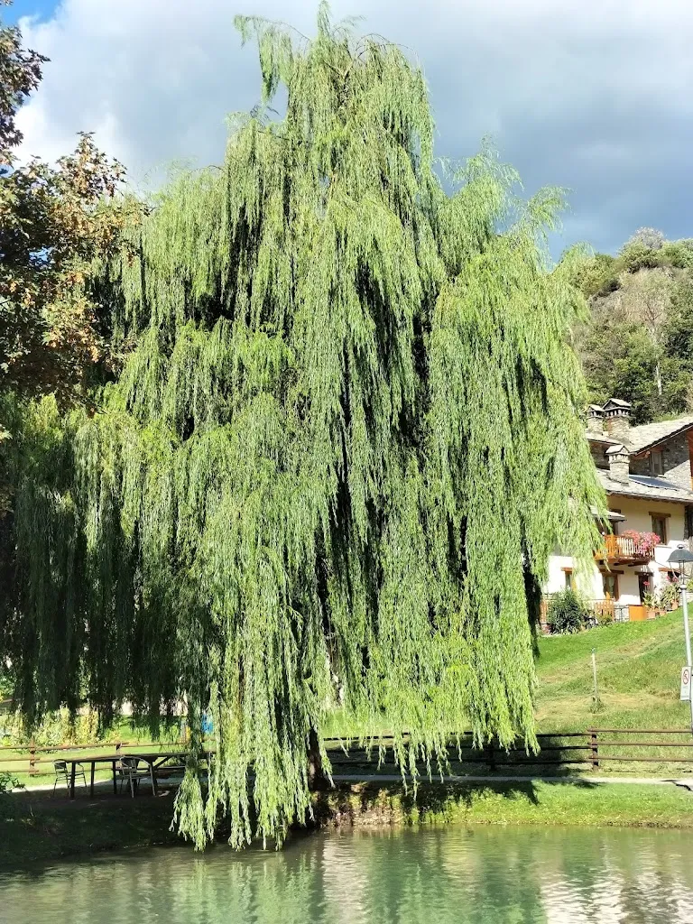 Francesca Cusimano (Fra)_Bar Liga_Arvier_review