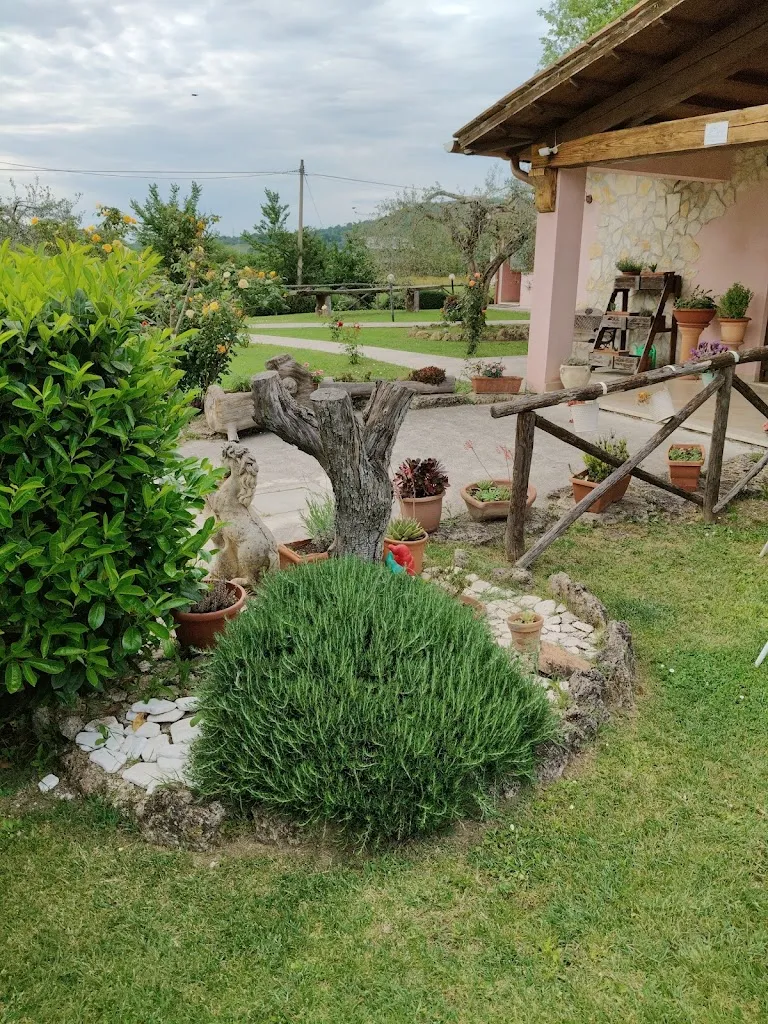 desmodo_Agriturismo Calderari_Orte_review