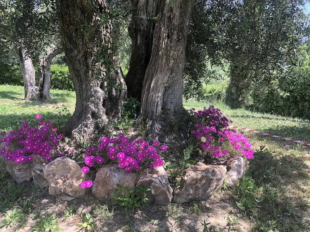 The view home restaurant_Palombara Sabina_slider_image_2