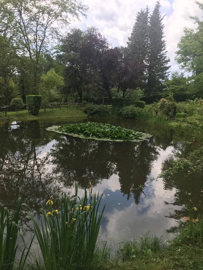 marcoslasch_Ristorante Est Est Paliano_Paliano_review