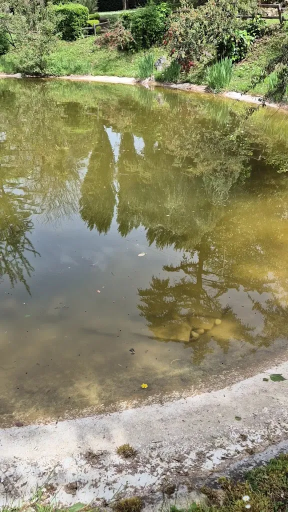 Ristorante Est Est Paliano_Paliano_slider_image_2