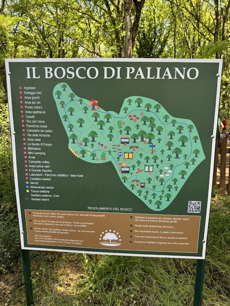 Il Bosco di Paliano_Paliano_slider_image_3